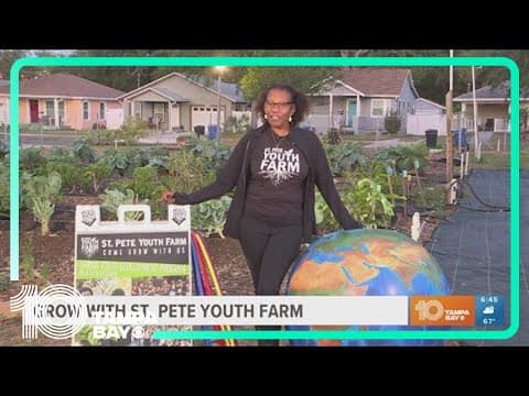 St. Pete Youth Farm grows leaders while giving people access to nutritious food