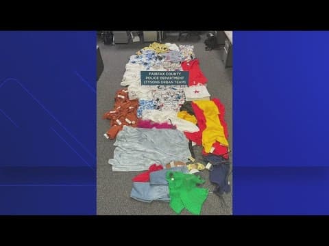 Retail theft ring busted after spree in Fairfax County, police say