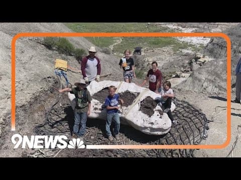 Rare T. rex fossil going on display in Colorado