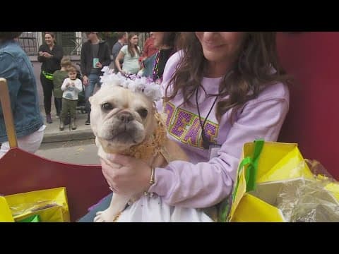 Mystic Krewe of Barkus announces 'Barbie' theme