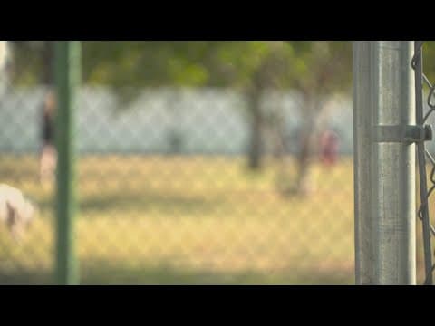 Suspect arrested after her dog allegedly attacked another woman in a dog park