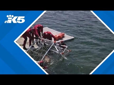 Multiple agencies take part in rescue swimmer certification course