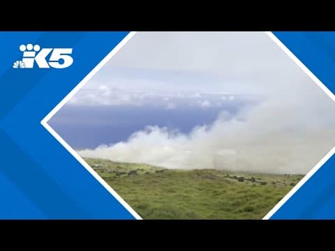 Crews battle fast-moving wildfire in Maui