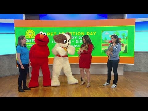Sesame Place holding pet adoption event on Feb. 26