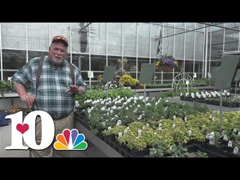 Choosing the best herbs for your garden