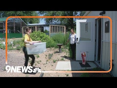 Boulder wildlife rehab center safely evacuated 589 animals from wildfire danger