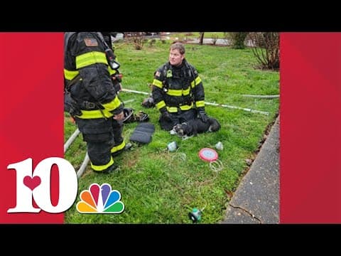 KFD saves dog after lightning strikes Knoxville home