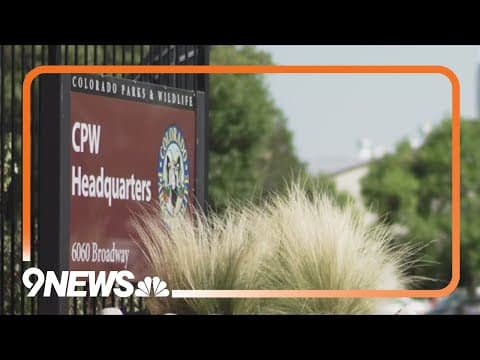 Colorado could change wolf damage compensation