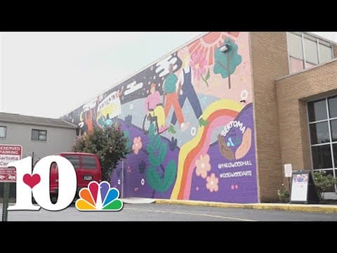 TN artist finishes mural on side of Sertoma Center in East Knoxville