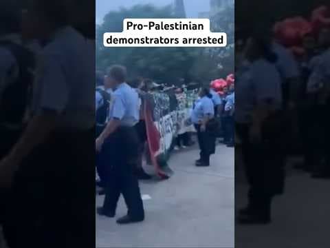 Pro-Palestinian demonstrators arrested in Jackson Square #neworleans #palestinian