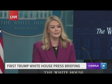 White House Press Secretary Karoline Leavitt answers question about immigrants being arrested