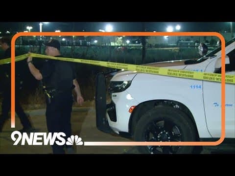 Man killed by RTD train