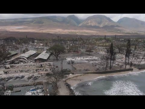 Maui wildfires: Search for survivors continue; death toll rises to 55