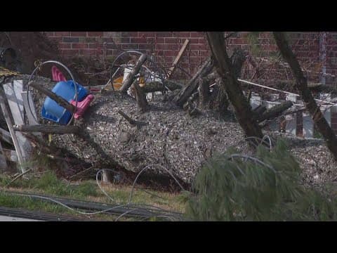 Downed trees, power outages across DMV due to high winds