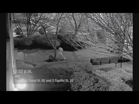 Kamala Harris came within 20 feet of pipe bomb on Jan 6, report says