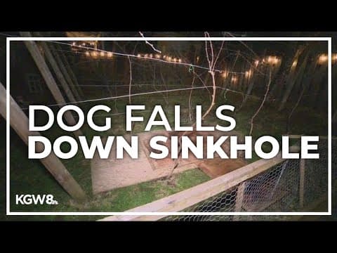 Dog that fell down sinkhole in North Portland yard is rescued by firefighters