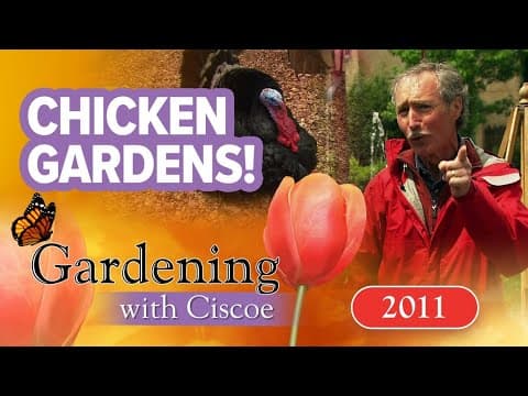 Creating chicken and kid-friendly landscapes | Gardening with Ciscoe | Full episode