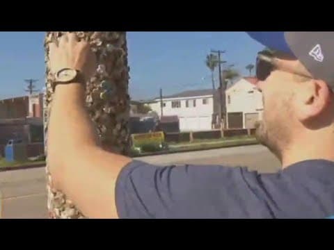 Popular 'Gum pole' in Pacific Beach replaced after more than 10 sticky years