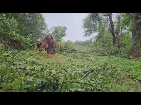 Clean up from 'Debby' in the DMV