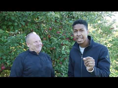 Guy Brown learns about the science behind growing the perfect apple