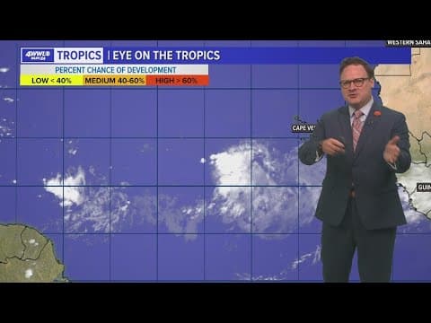 Monday Tropic Update