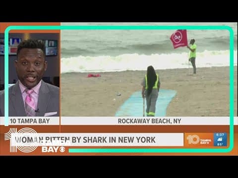 Shark bites woman at New York beach