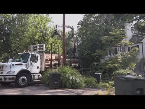 Clean up continues from last night's storm in DC