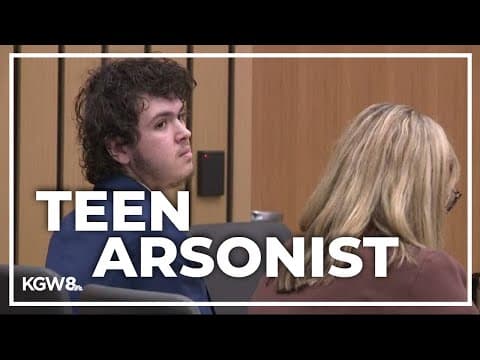 Teenager who set multiple fires during wildfire season gets community service