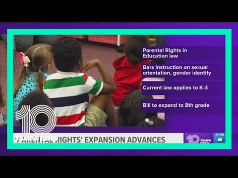 Florida bills on diversity, gender pass state committees