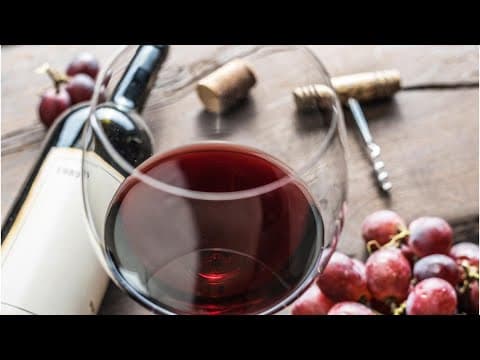 Celebrate National Red Wine Day with Fabbioli Cellars in Loudoun County