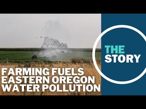 Eastern Oregon’s water crisis stems from industrial pollution, but it’s hard to pin down one culprit