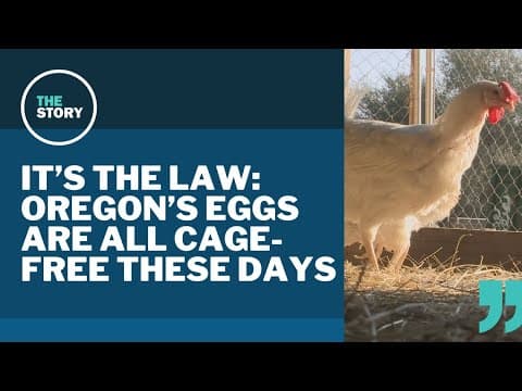 Yes, Oregon passed a law requiring all eggs to be cage-free. Here's what that means