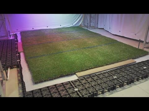 UT researching the perfect grass for FIFA