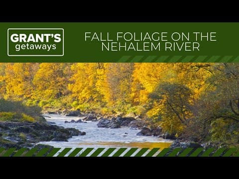Lower Nehalem River backroad offers spectacular scenery | Grant's Getaways
