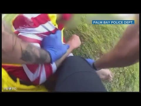 VIDEO: Police have confrontation with Florida man dressed as clown