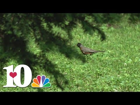 After the storm: The beauty of nature