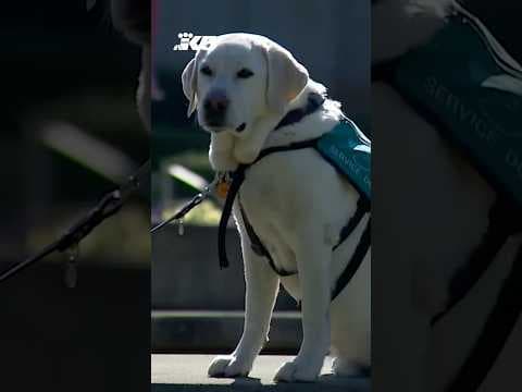 Thieves target Seattle non-profit in overpayment scam