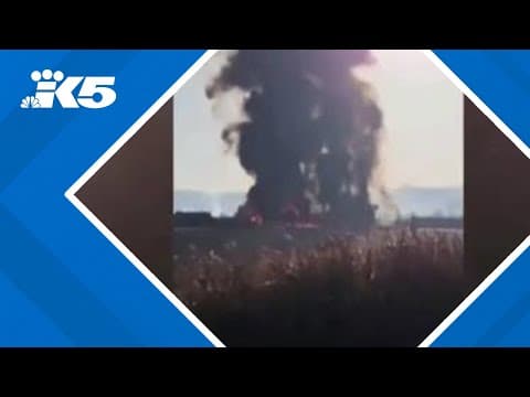 Dozens killed after plane skids off runway at South Korea airport