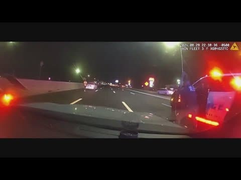 Dallas police release portions of dashcam video showing shooting of man who killed an officer