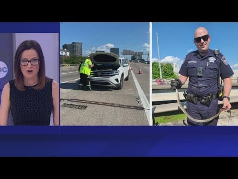 Family driving to airport sees snake slither out from under their hood, Dallas County deputies say