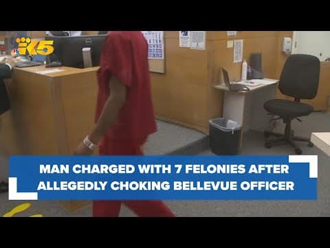 22-year-old faces charges after allegedly choking Bellevue police officer