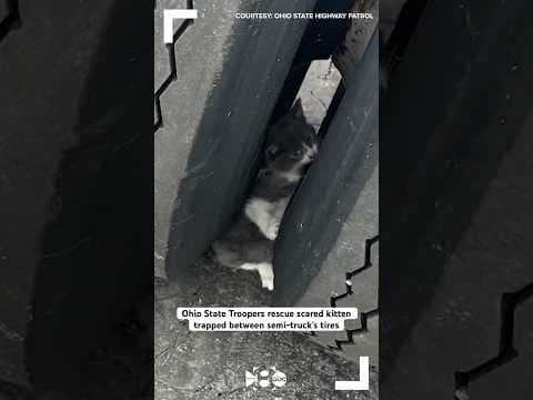Ohio State Troopers rescue scared kitten trapped between two semi-truck tires