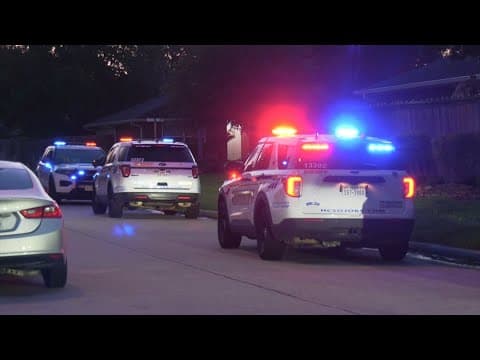 Man accused of attacking mother with hammer in west Harris County