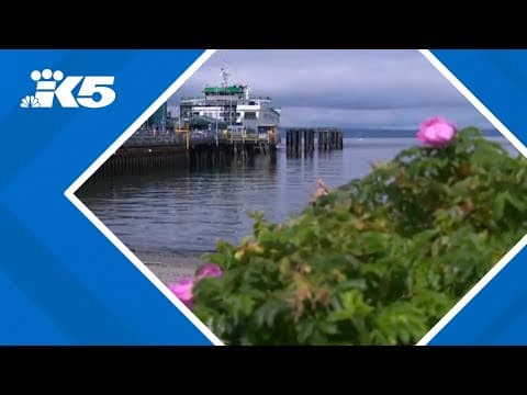 Washington State Ferries say boarding wait times may be longer than normal for Fourth of July holida