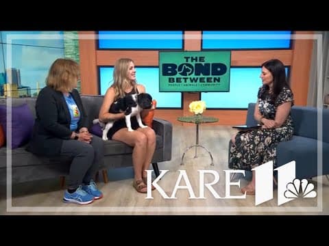 Help 'The Bond Between' find good homes for great pets