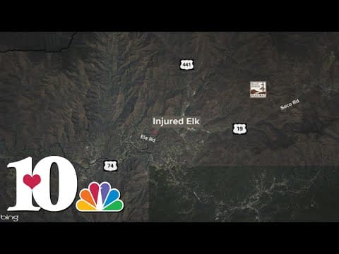 Eastern Band of Cherokee Indians offering reward for information in poaching case