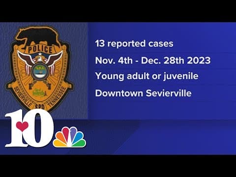 Sevierville police searching for person involved in 'surge' of vandalism cases