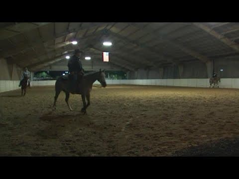 55th annual Quarter Horse Congress returns to Columbus