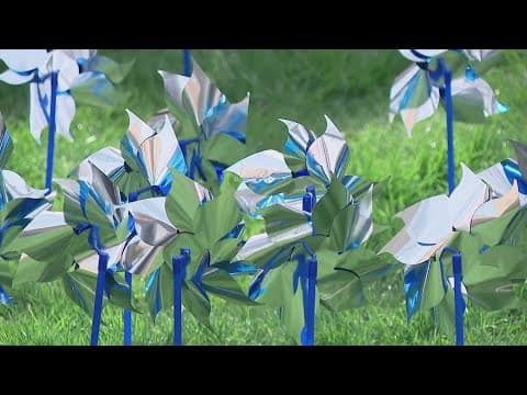 Pinwheels place outside of Columbus City Hall in honor of National Child Abuse Prevention Month