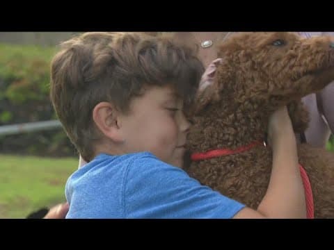 'We're very happy' | CBS 8 reunites stolen Goldendoodle puppy Chancho with family from Utah